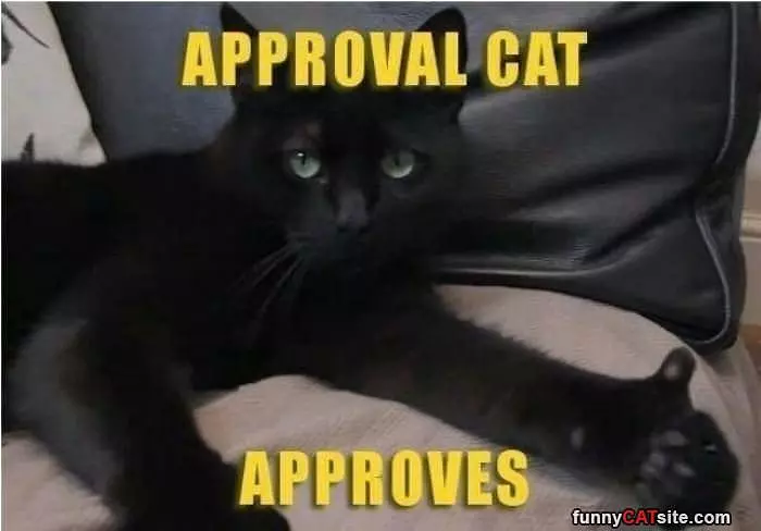 Approval Cat