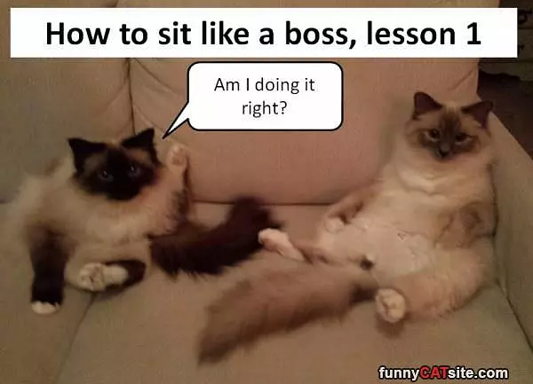 How To Sit Like A Boss