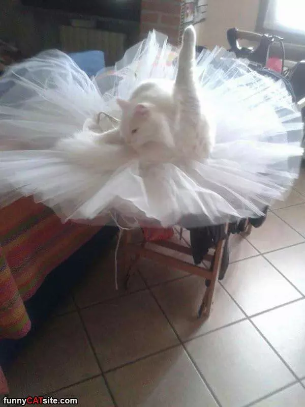 Ballerina Stretch
