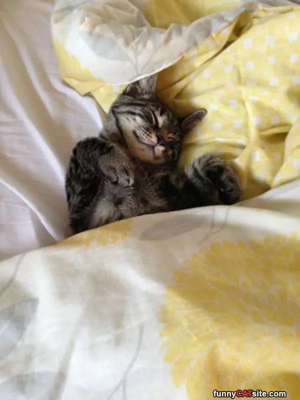 I Am All Tucked In