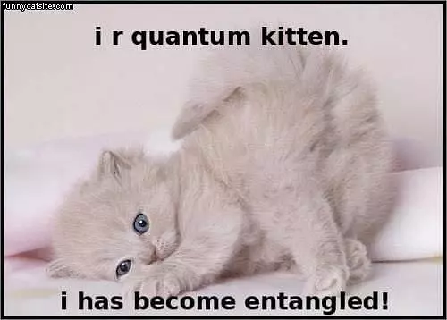 Quantum Kitten