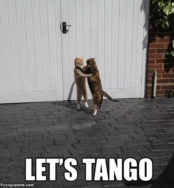 Lets Tango