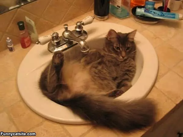 Ahhhhh The Sink