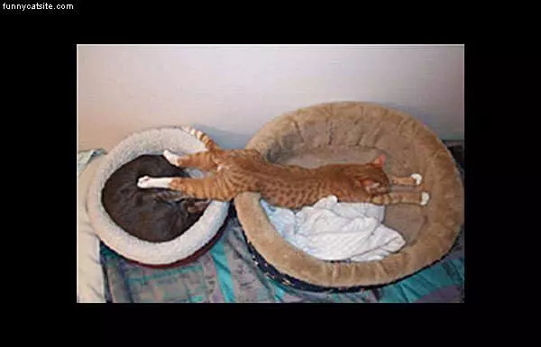 Two Beds