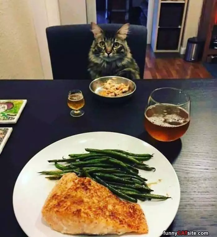 Having A Fancy Dinner