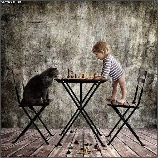 Lets Play Chess