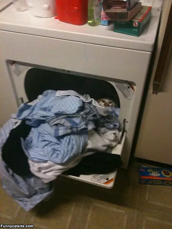 Hiding In The Dryer