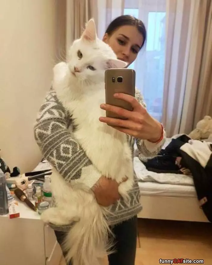 That Is A Very Large Cat