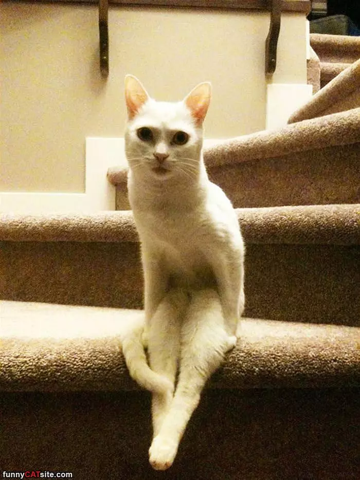 Chillin On The Stairs