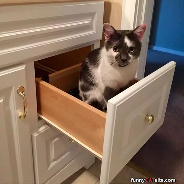 This Is My Drawer Now
