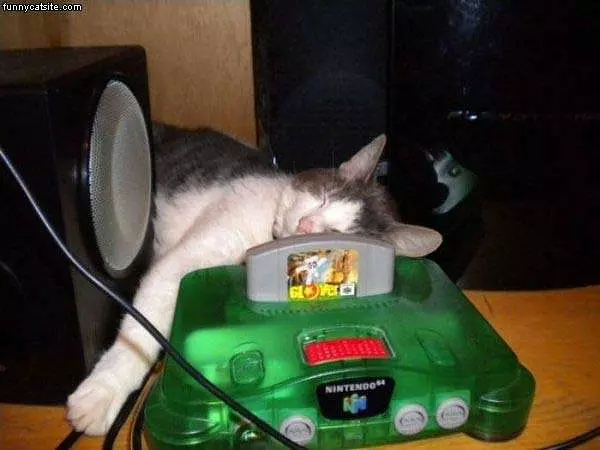 N64 Cat
