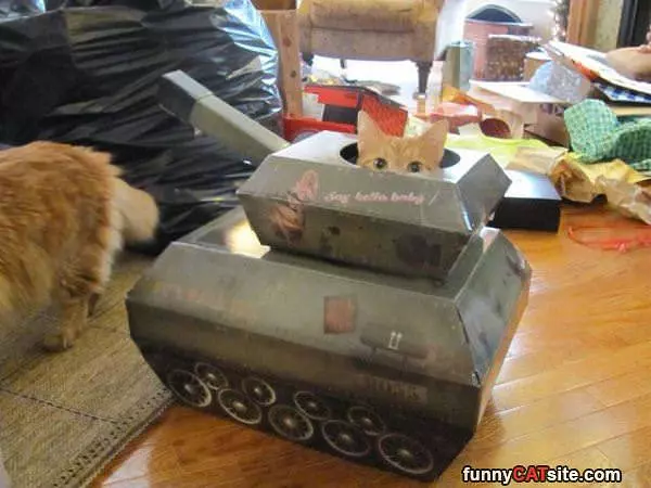 Battle Cat
