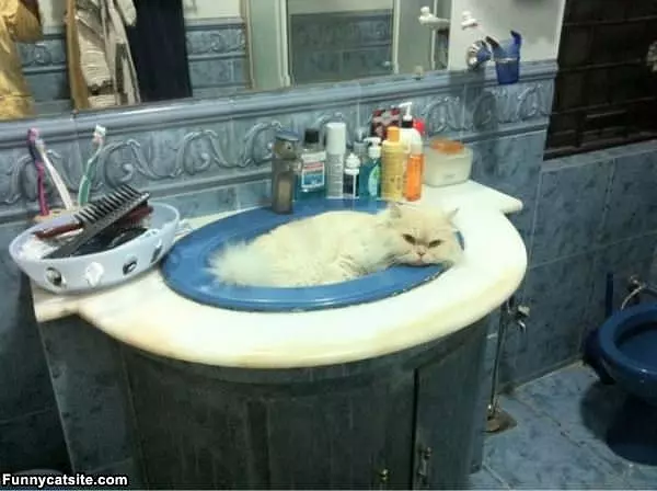 Me In Da Sink