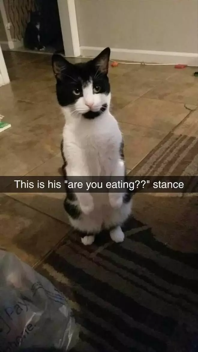 Are You Eating