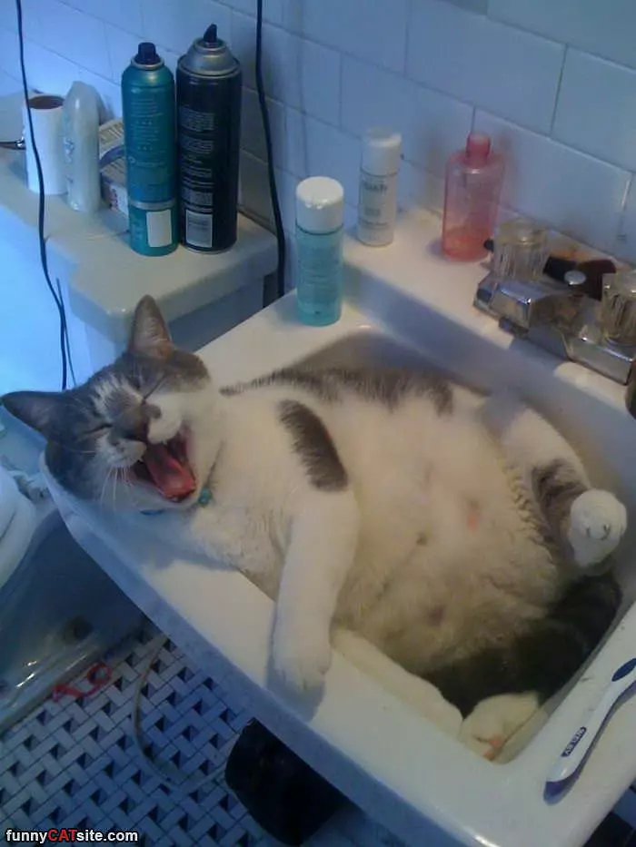 Hahaha I Love Sinks
