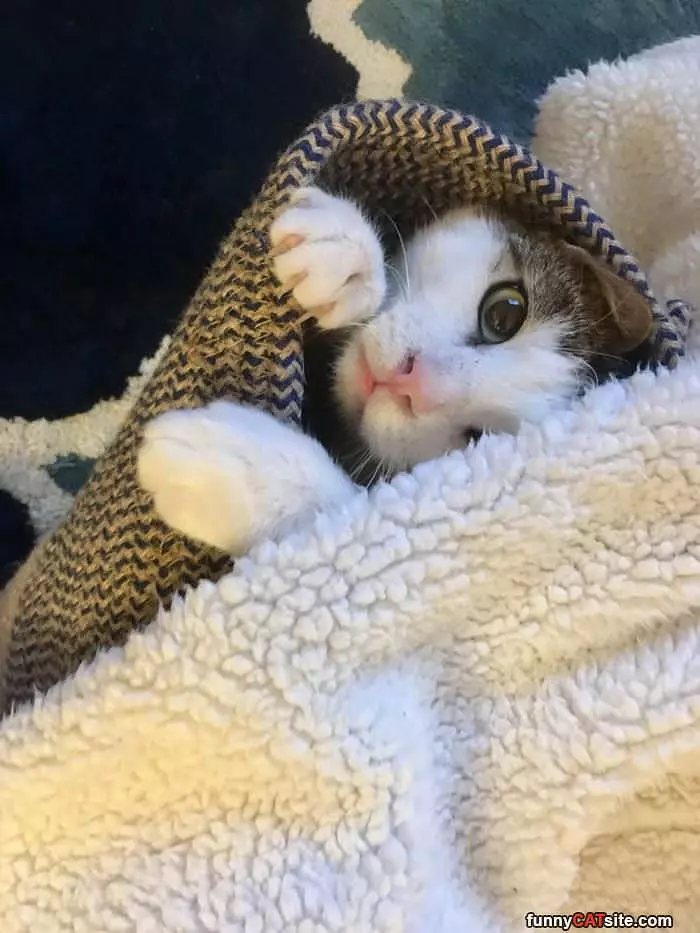 Under The Blanky