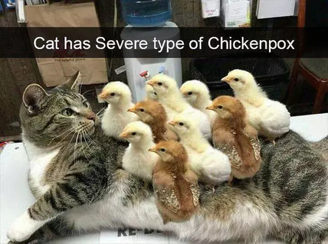 Some Chickenpox