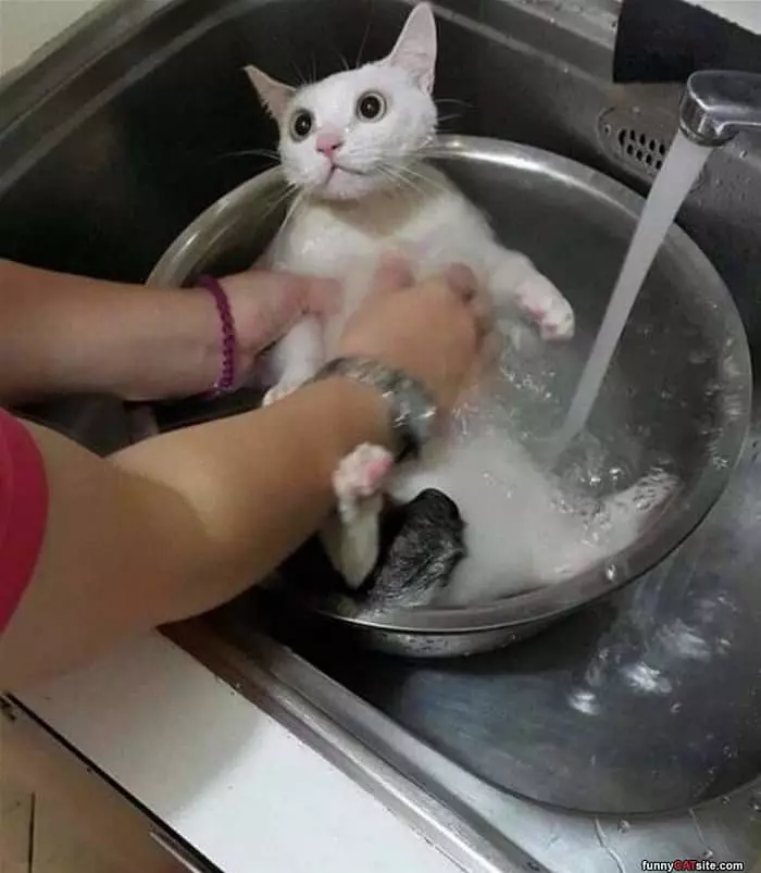 Getting A Little Bath