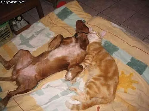 Sleeping Together