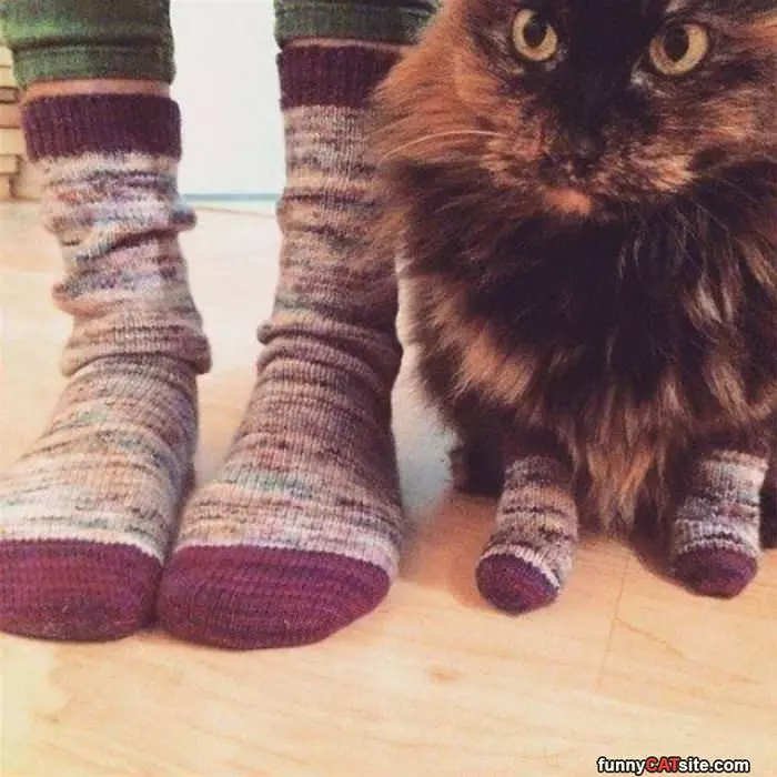 Some Matching Socks