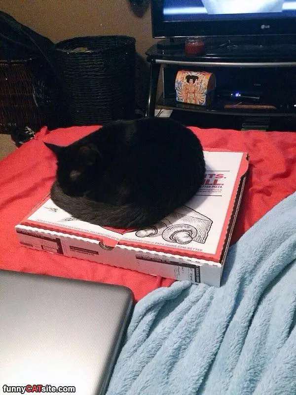 This Pizza Box Is Great