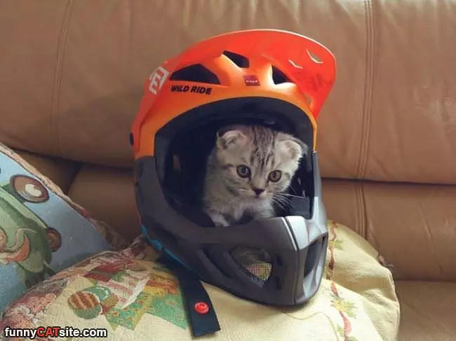 In The Helmet