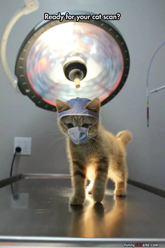 Ready For A Cat Scan