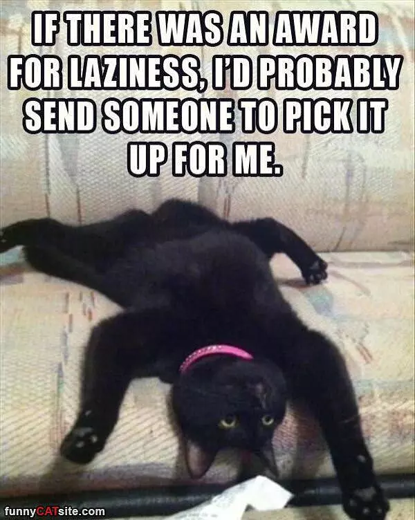 Laziness Award