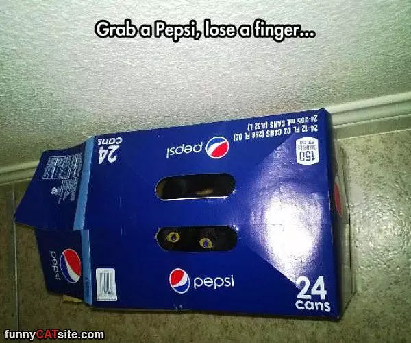 No Pepsis For You