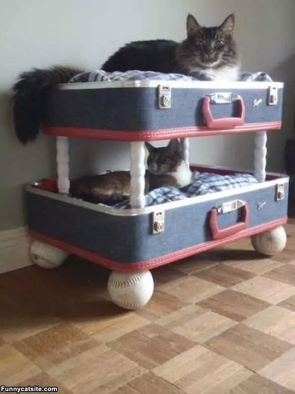 Suitcase Beds