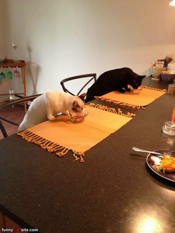 Just Eating Together