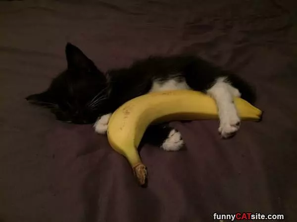 Banana Hug