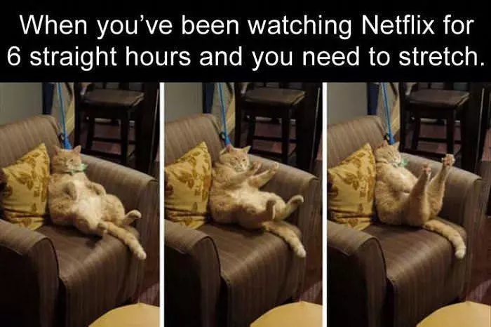 Too Much Netflix