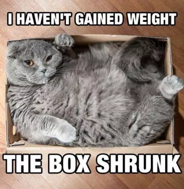 Box Shrunk People