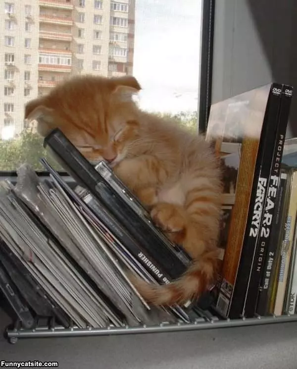 Sleeping In A Book