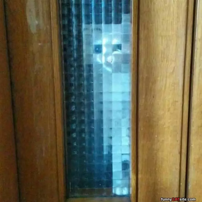 Hey Can You Let Me In Now
