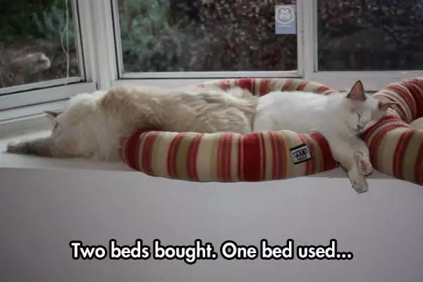 Two Beds