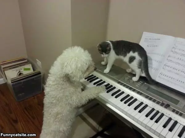 Play Me A Tune