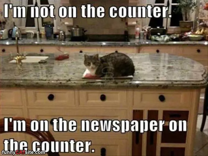 Not On The Counter