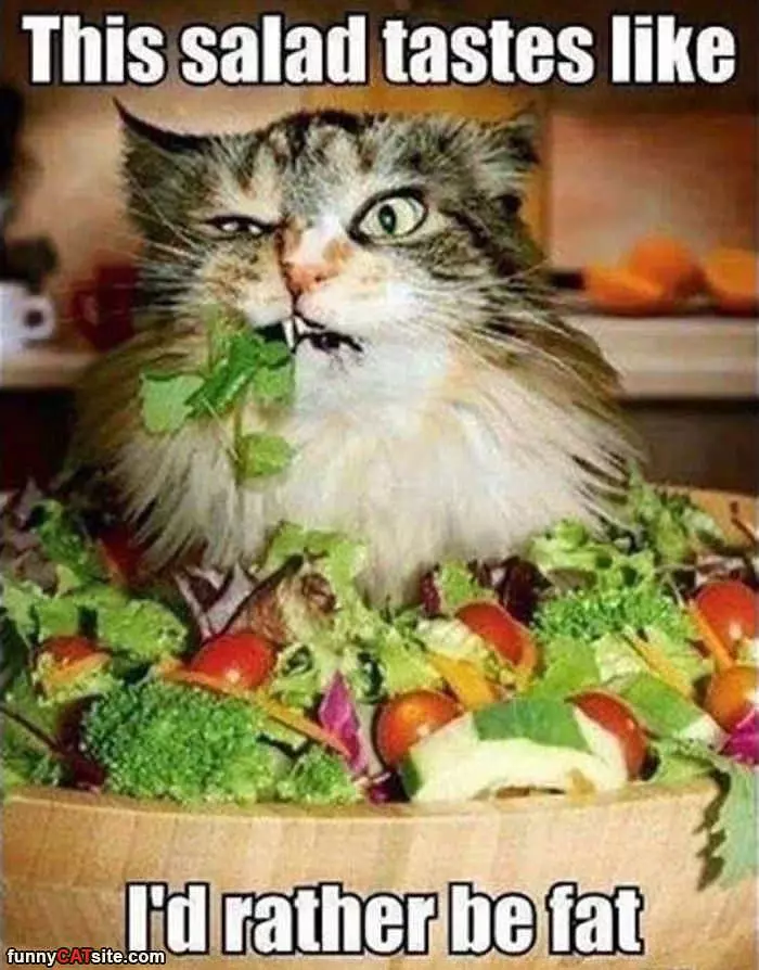 How Is Your Salad