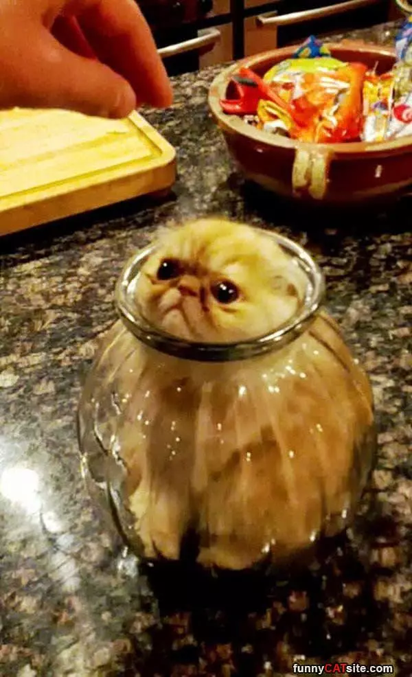 Stuck In A Jar