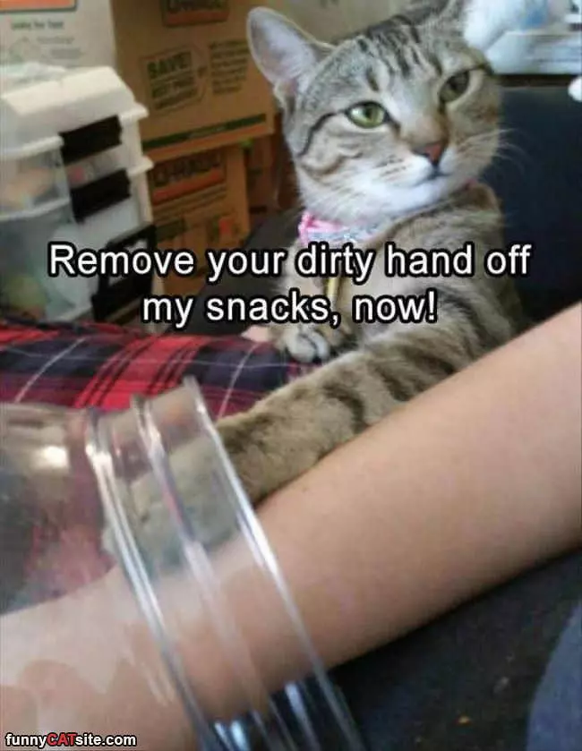 Remove Your Hand Now