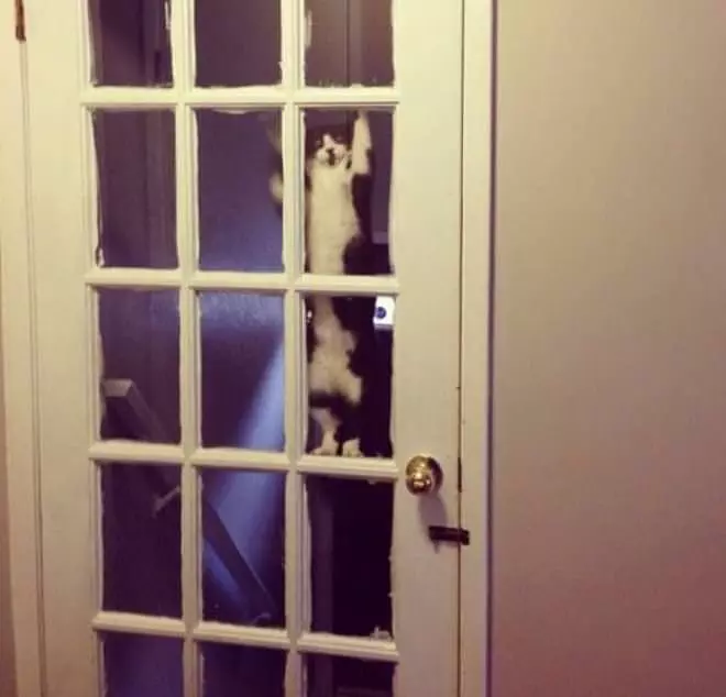Hey Guys Can You Let Me In