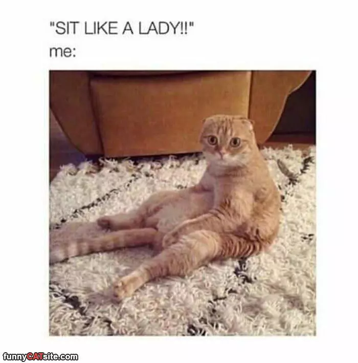 Sitting Like A Lady