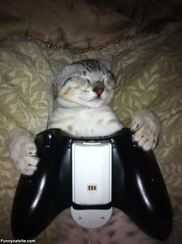 Fell Asleep Playing Xbox