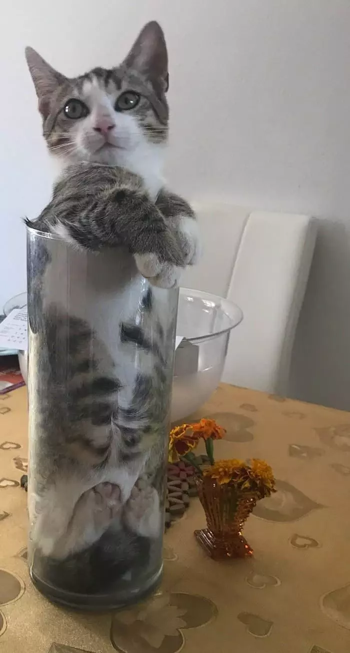 Stuck In My Vase