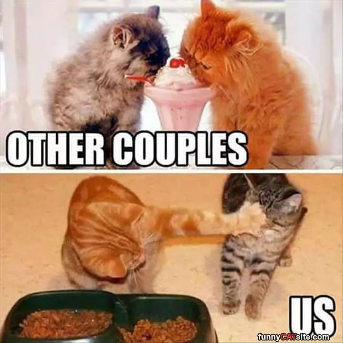 Other Couples Vs Us