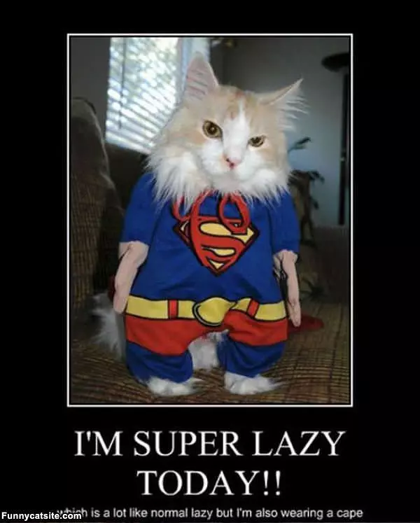 Super Lazy
