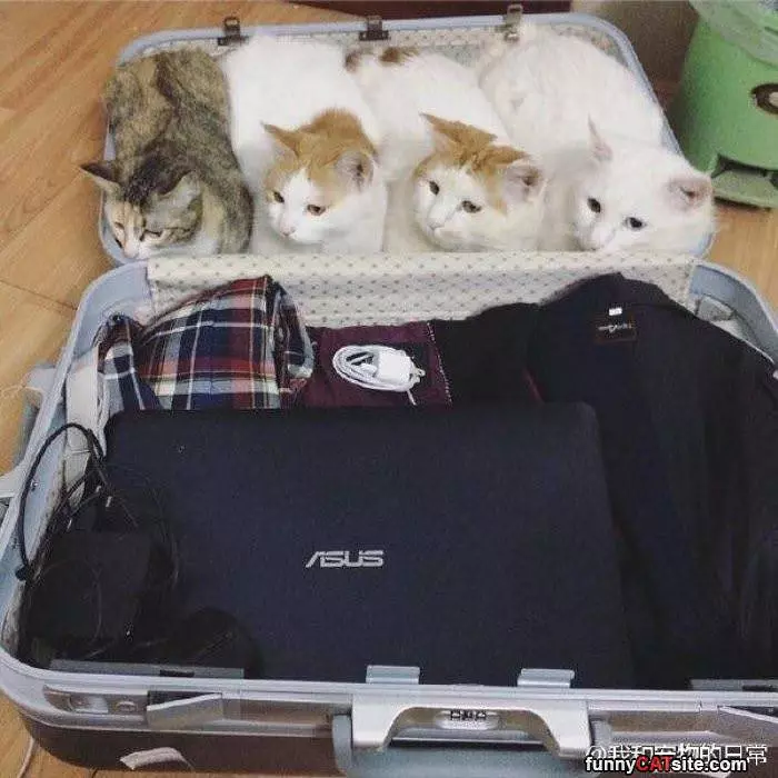 I Think You Can Take Us With You
