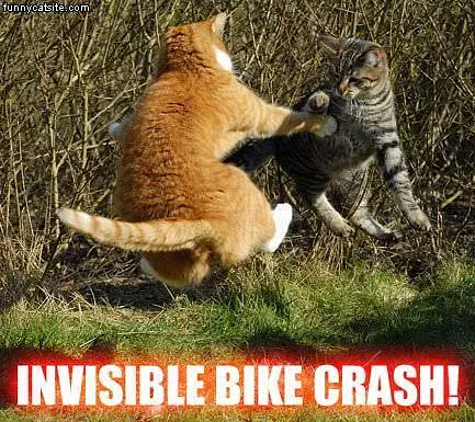 Bike Crash